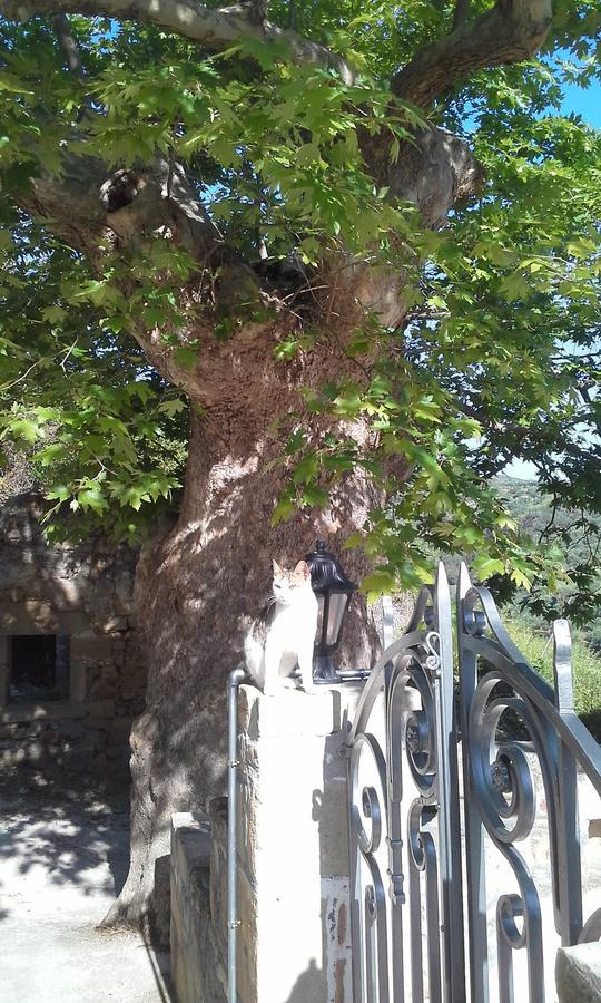 Traditional House Koukounara Kíssamos Exterior foto